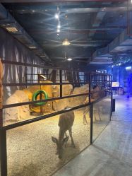 -酷嗒动物文化乐园(cutezoo西溪乐天城店)