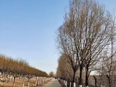 -永定河休闲森林公园