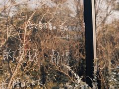 -自在逸舍·简餐下午茶