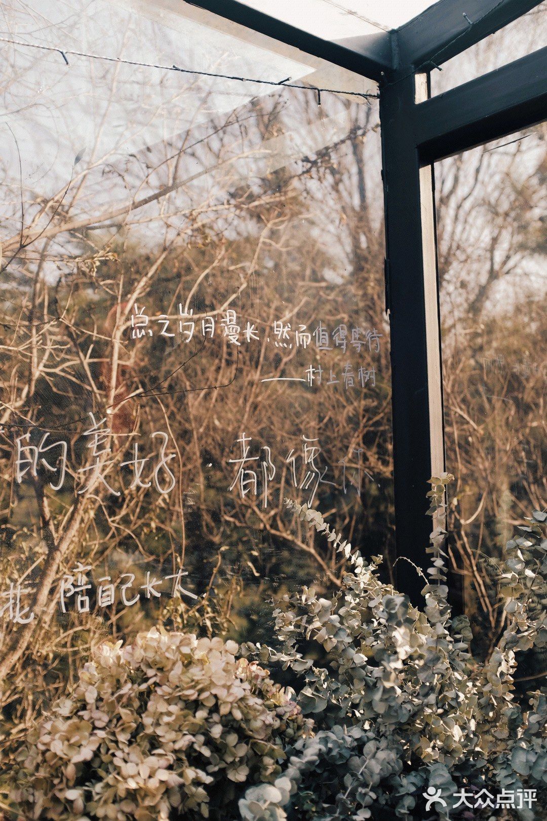 庭院内| 覆乘冬日夕曛之光