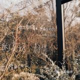 庭院内| 覆乘冬日夕曛之光