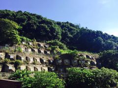 -香港大学