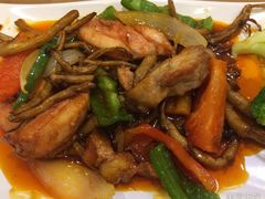 -大家乐(深圳中信店)