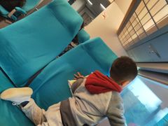 -龙阳路磁悬浮列车总站-停车场