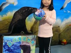 -嘉兴海底世界