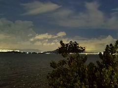 -福田红树林生态公园