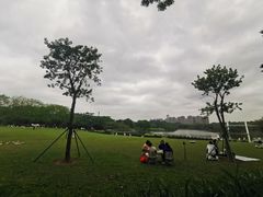 -东莞植物园