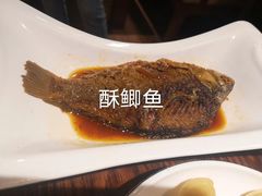 -七菜馆·东北菜·蒸饺(文体路店)