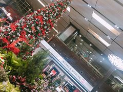 -樟宜机场免税店