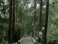 -忠山公园