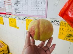 -老袁家蜜桃农场·阳山水蜜桃