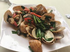 -越海渔村