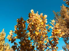 -中家鑫园温泉酒店鑫悦汤泉