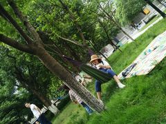 -重庆市江北嘴中央商务区中央公园