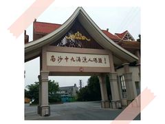 -大湾区中央湿地公园