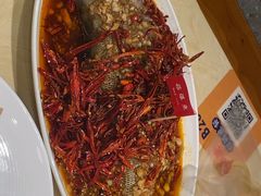 -杨氏青龙虾·羊蝎子(珠江路店)