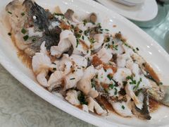 起片鲈鱼-台山美食一绝阿四台山黄鳝饭(阿四创作店)