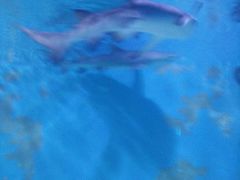 -水上乐园·欢乐世界