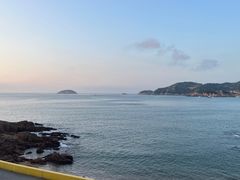 -魚當家