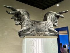 -上海博物馆(人民广场馆)