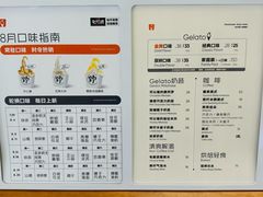 -野人先生Gelato(上海长宁龙之梦店)