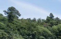 -南京市无想山景区