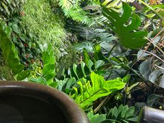 -森味薪火烧•烧鸟居酒屋•日本料理(望京店)