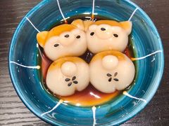 -逗柴咖啡屋·狗咖猫咖宠物桌游