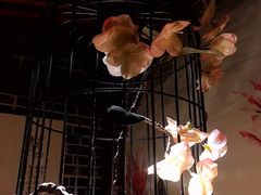 -繁·醉花亭小酒馆(鼓楼店)