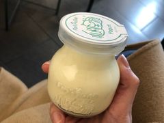 椰子酸奶酪-狐狸家·酸奶酪专门店(平江路店)