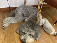 -沏点Trattoria意大利餐厅(新街口店)