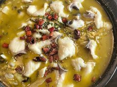 -渝味川菜(夜宵航母店)