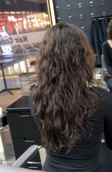 -Hair Code芭曲发型