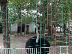 -武汉紫薇都市田园