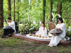 -黄海国家森林公园