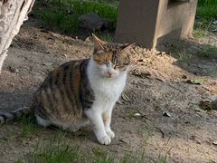 -狼山风景名胜区