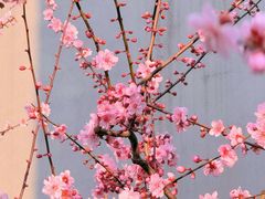 -静安雕塑公园