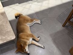 -NOTBAD 须时·咖啡馆