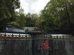 -杭州少年儿童公园