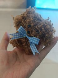 -Mini Muses ·创意手作·陶艺·银饰·团建(芳圆里店)