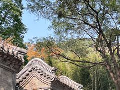 -潭柘寺景区