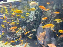 -太平洋海底世界