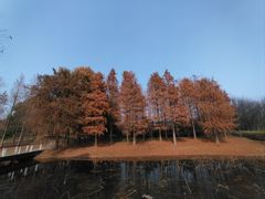 -同里国家湿地公园