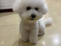 -它主义宠物(梁溪万达店)