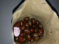 -德州小高糖炒栗子(十三局店)