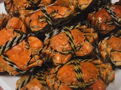 阳澄湖大闸蟹-乡乐园蟹庄·阳澄湖农家乐