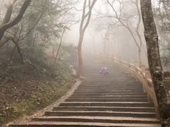 -普陀山风景区-佛顶山