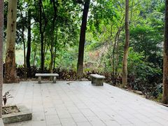 -火炉山森林公园