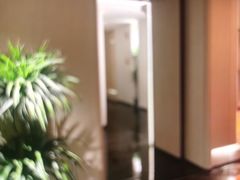 -素可汤泉(天宝大厦店)