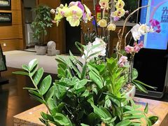 -黔蘑菇四季餐厅(观山湖店)